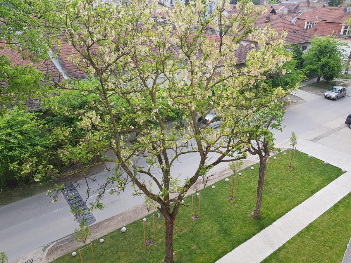 Apartmán Aurora Subotica Exteriér fotografie